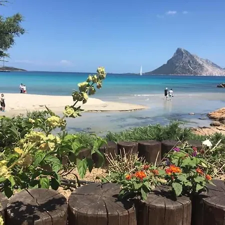 فندق مبيت وإفطار Meta Mito