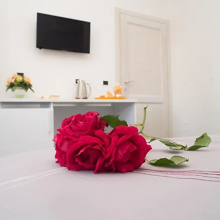 Meta Mito بودوني